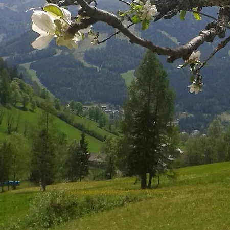 Freistehendes Ferienhaus In Idyllischer Lage